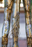 Kenyan Recycled Oil Drum Giraffe Statues