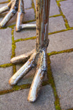 Kenyan Recycled Oil Drum Ostrich Statues